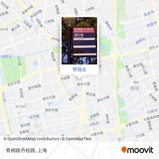青桐路丹桂路地图