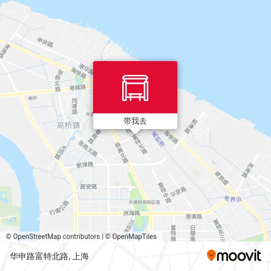 华申路富特北路地图