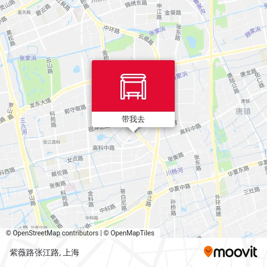 紫薇路张江路地图
