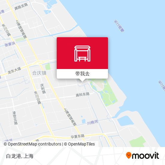 白龙港地图
