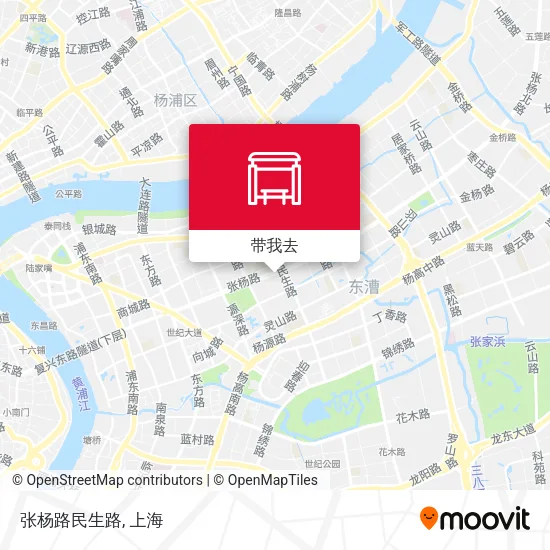 张杨路民生路地图