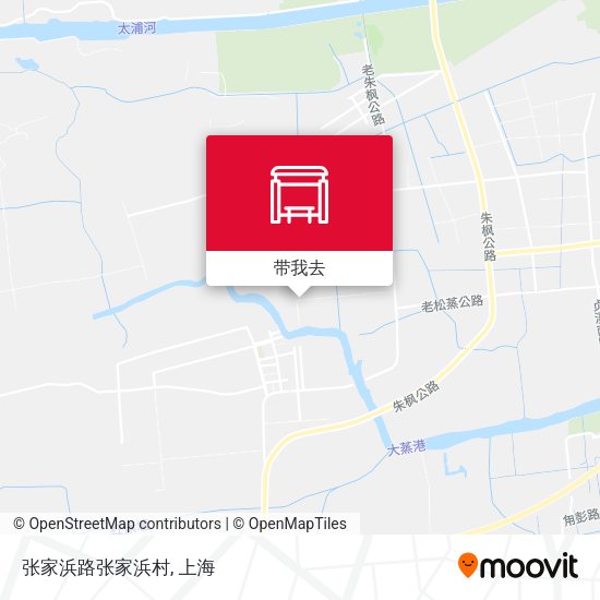 张家浜路张家浜村地图