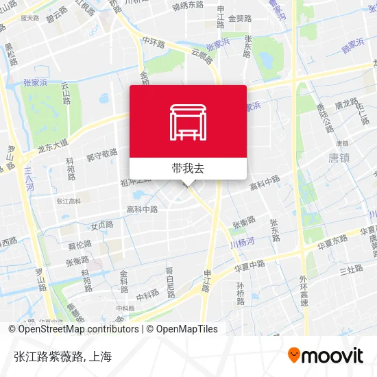 张江路紫薇路地图