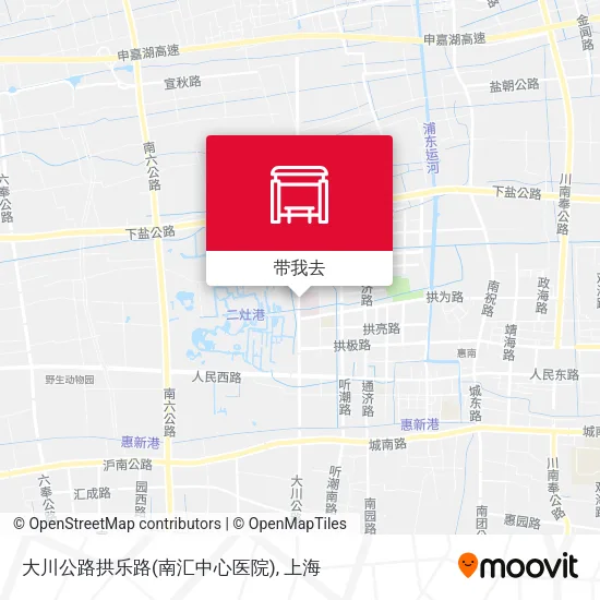 大川公路拱乐路(南汇中心医院)地图