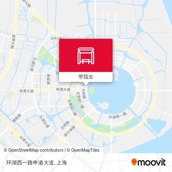 环湖西一路申港大道地图