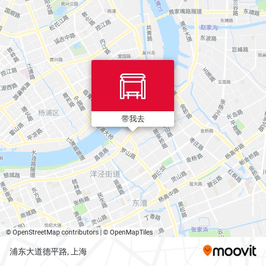 浦东大道德平路地图