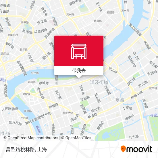 昌邑路桃林路地图