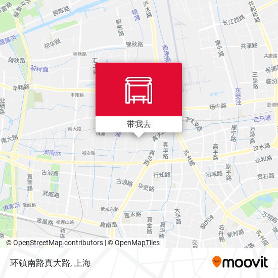 环镇南路真大路地图
