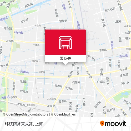 环镇南路真大路地图
