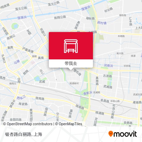 银杏路白丽路地图