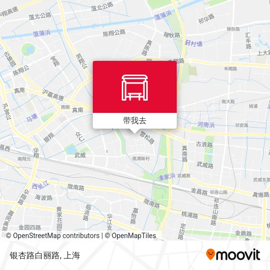 银杏路白丽路地图