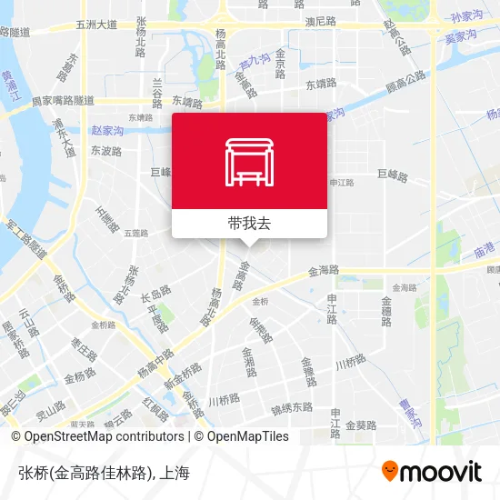 张桥(金高路佳林路)地图