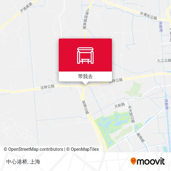 中心港桥地图
