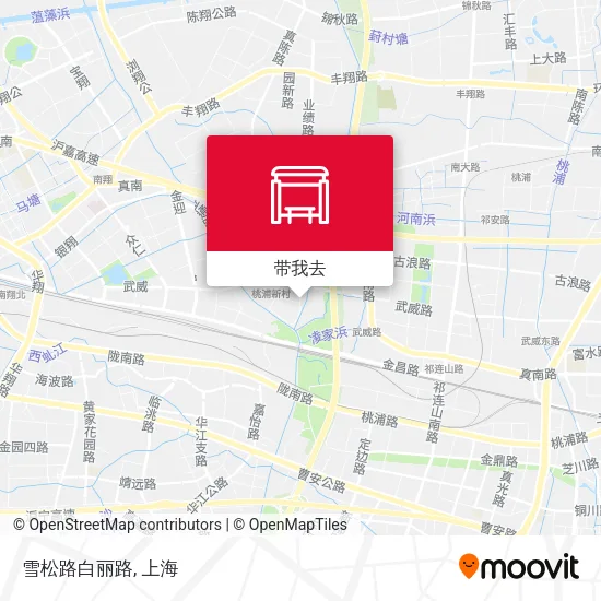 雪松路白丽路地图