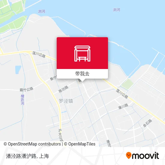 潘泾路潘沪路地图