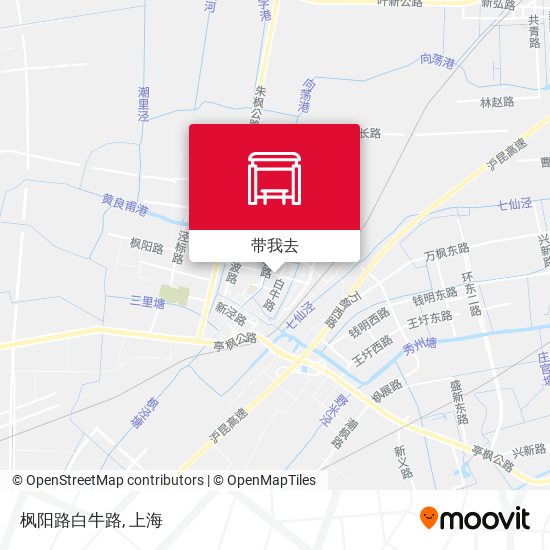 枫阳路白牛路地图