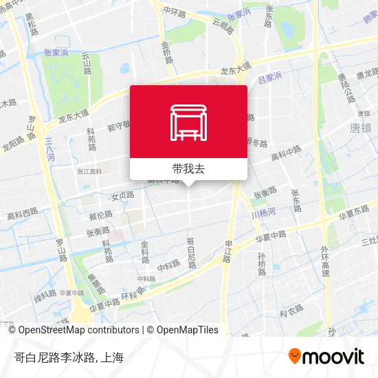 哥白尼路李冰路地图