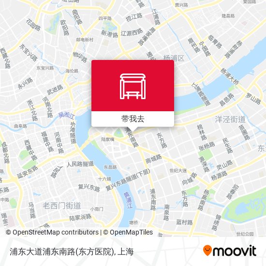 浦东大道浦东南路(东方医院)地图