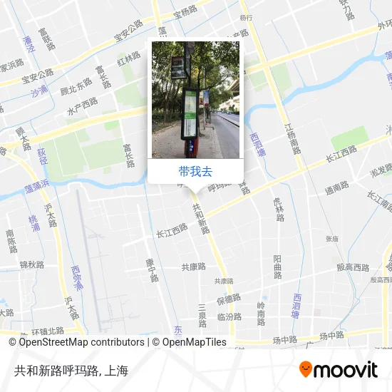 共和新路呼玛路地图
