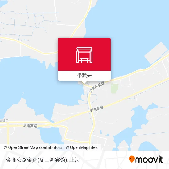 金商公路金姚(淀山湖宾馆)地图