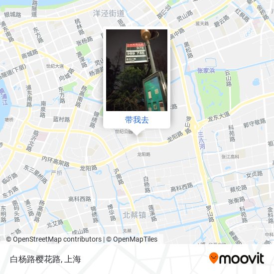 白杨路樱花路地图