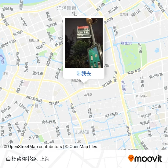 白杨路樱花路地图
