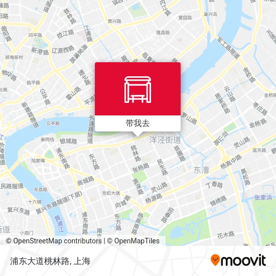 浦东大道桃林路地图