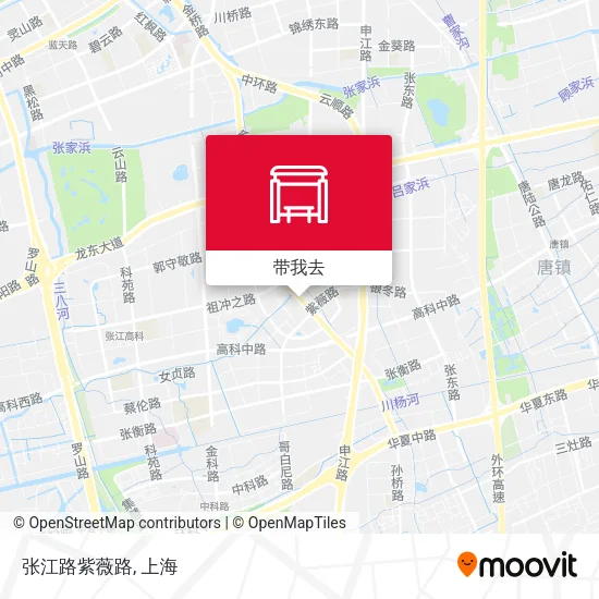 张江路紫薇路地图