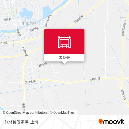 张林路倪家浜地图