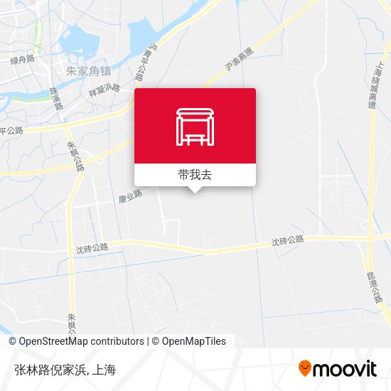 张林路倪家浜地图
