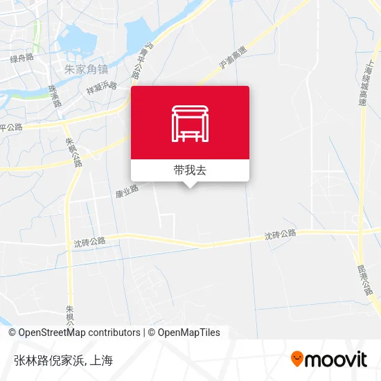 张林路倪家浜地图