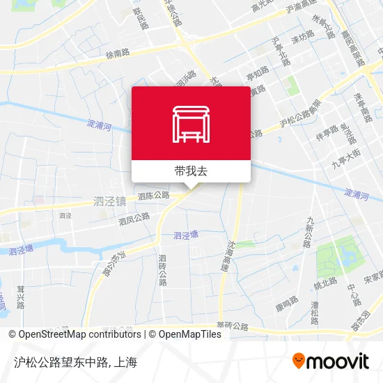 沪松公路望东中路地图
