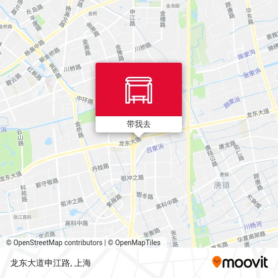 龙东大道申江路地图