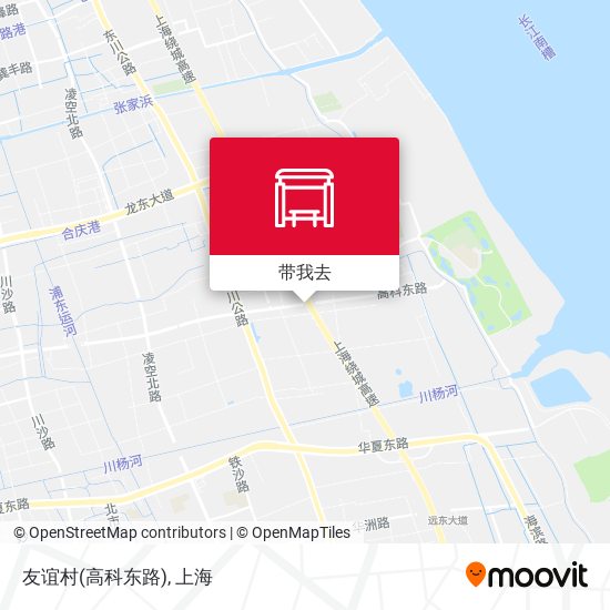 友谊村(高科东路)地图