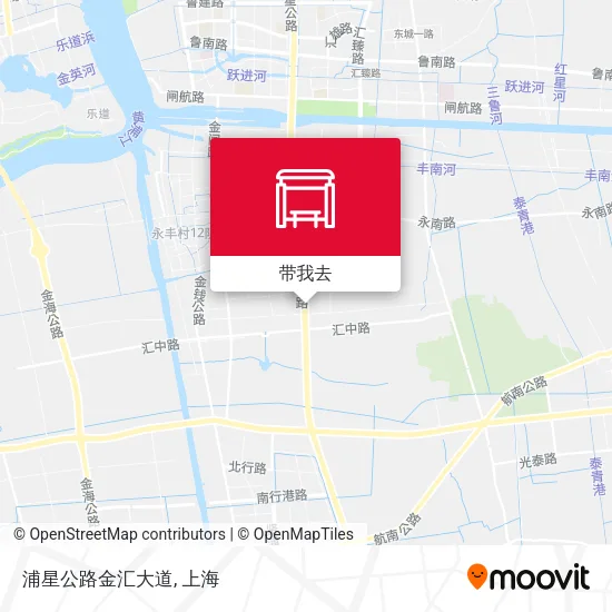 浦星公路金汇大道地图