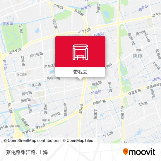 蔡伦路张江路地图