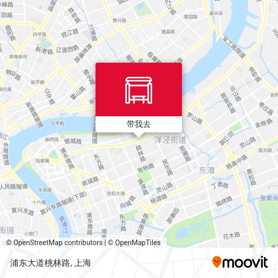 浦东大道桃林路地图
