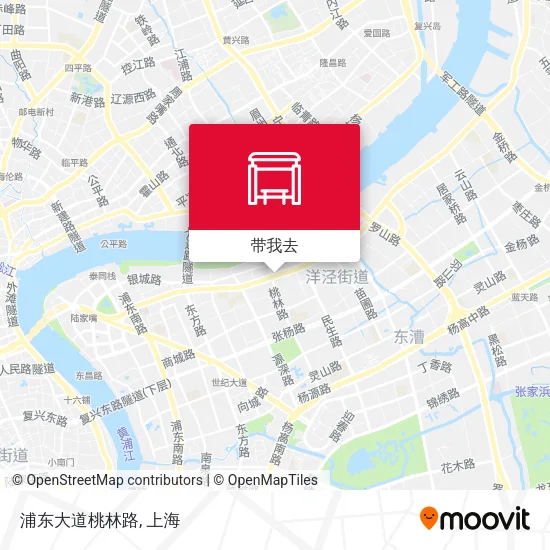 浦东大道桃林路地图
