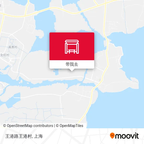 王港路王港村地图
