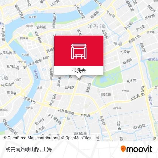 杨高南路峨山路地图