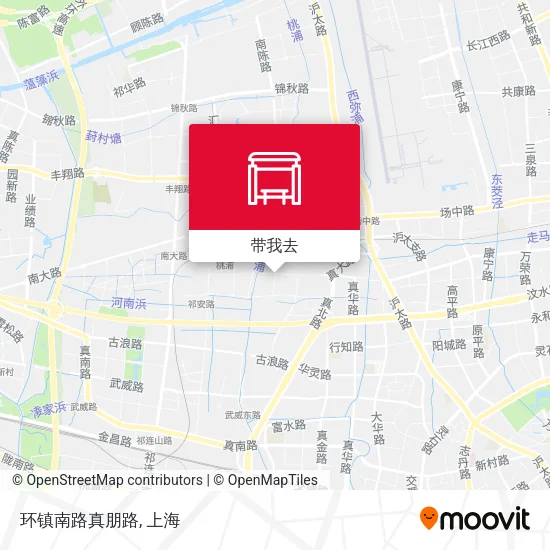 环镇南路真朋路地图