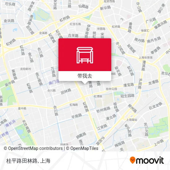 桂平路田林路地图
