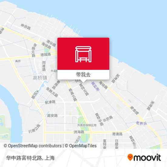 华申路富特北路地图
