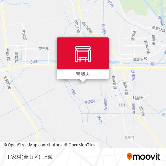 王家村(金山区)地图