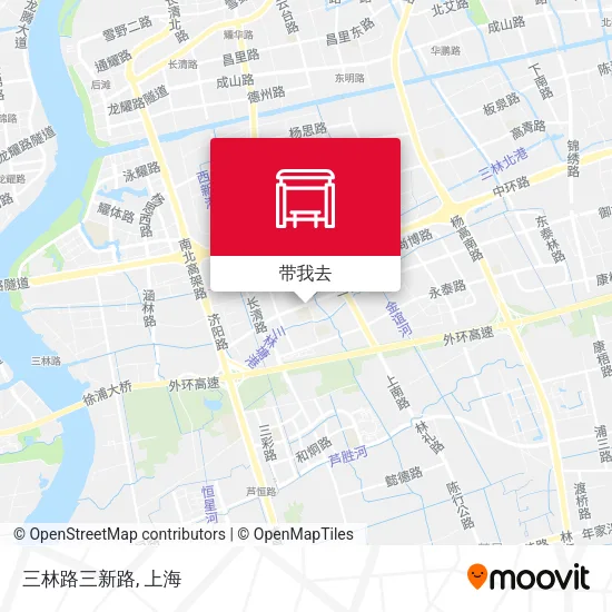 三林路三新路地图