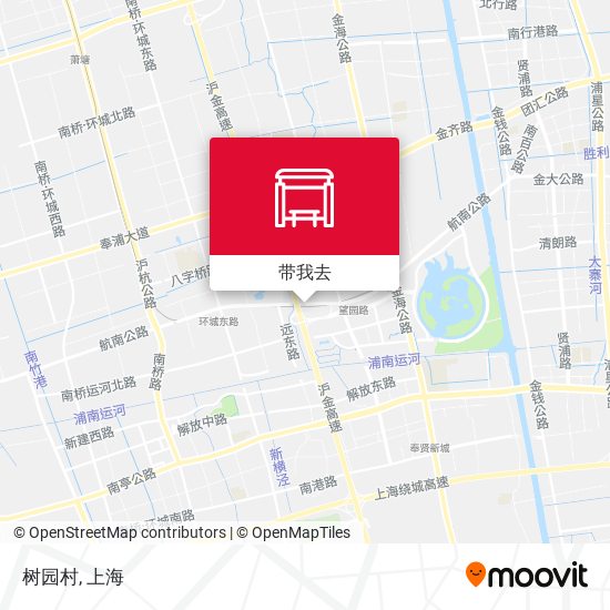 树园村地图