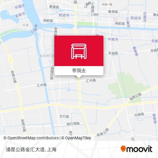 浦星公路金汇大道地图