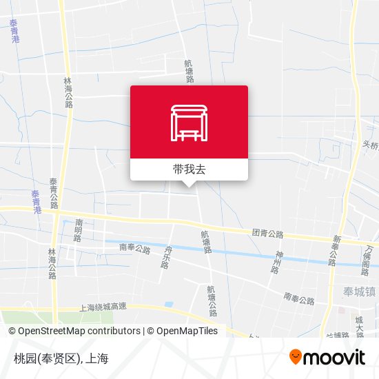 桃园(奉贤区)地图