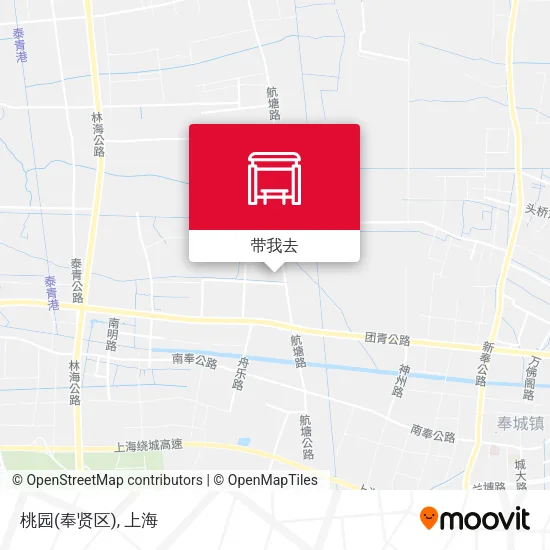 桃园(奉贤区)地图