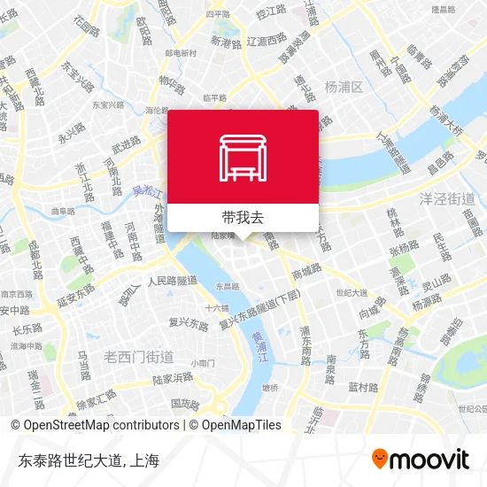 东泰路世纪大道地图